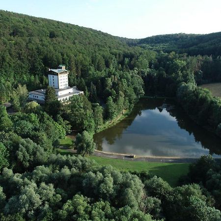 Hotel Reifenstein Kleinbartloff エクステリア 写真