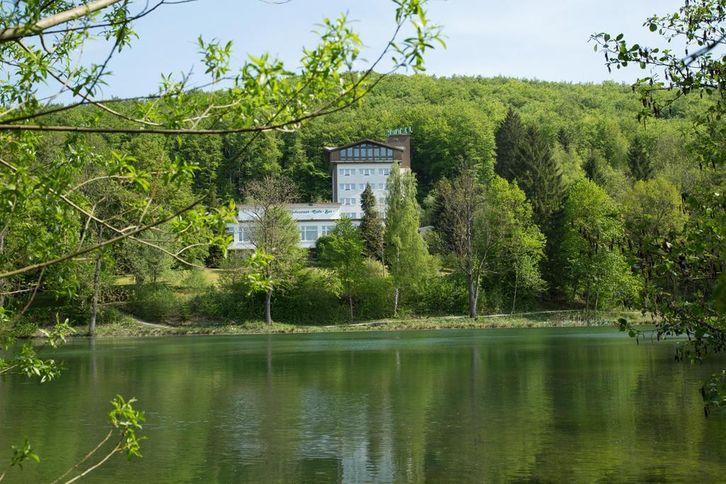 Hotel Reifenstein Kleinbartloff エクステリア 写真